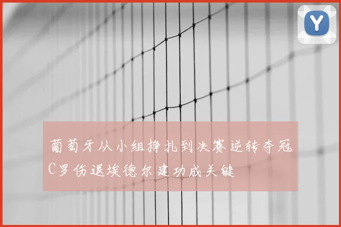 葡萄牙从小组挣扎到决赛逆转夺冠C罗伤退埃德尔建功成关键