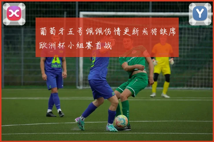 葡萄牙五号佩佩伤情更新或将缺席欧洲杯小组赛首战