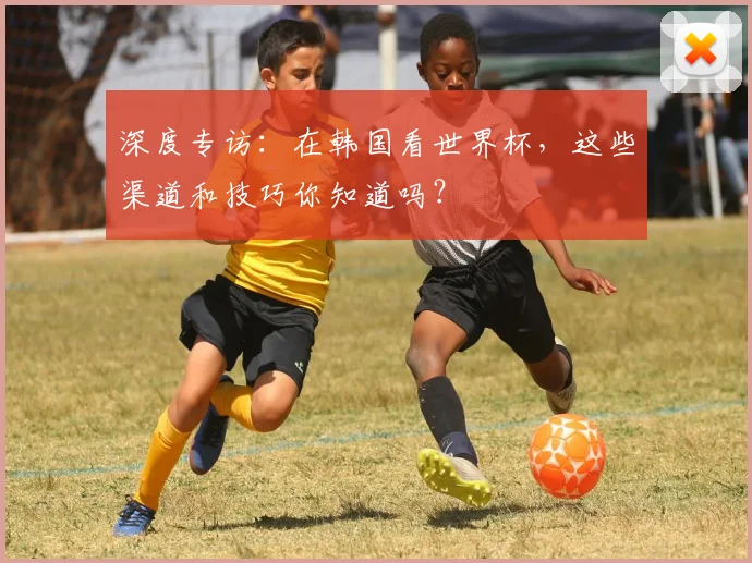 深度专访：在韩国看世界杯，这些渠道和技巧你知道吗？