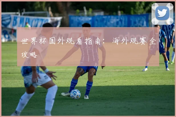 世界杯国外观看指南：海外观赛全攻略