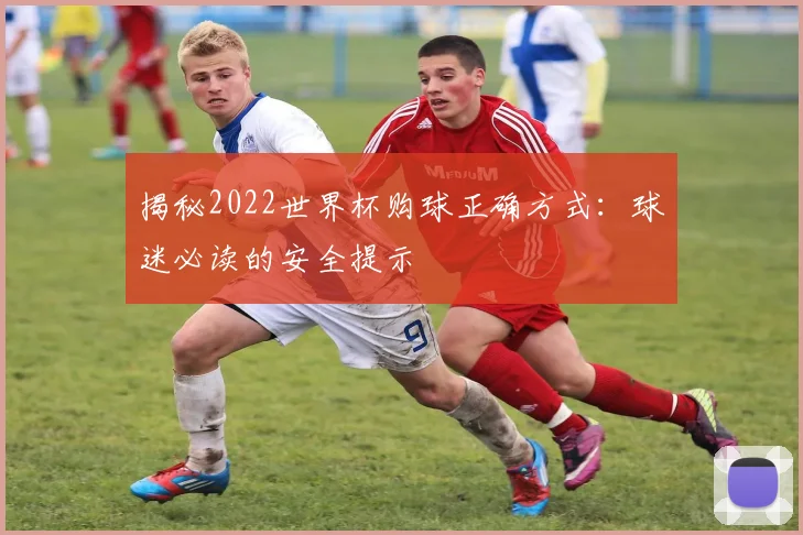 揭秘2022世界杯购球正确方式：球迷必读的安全提示