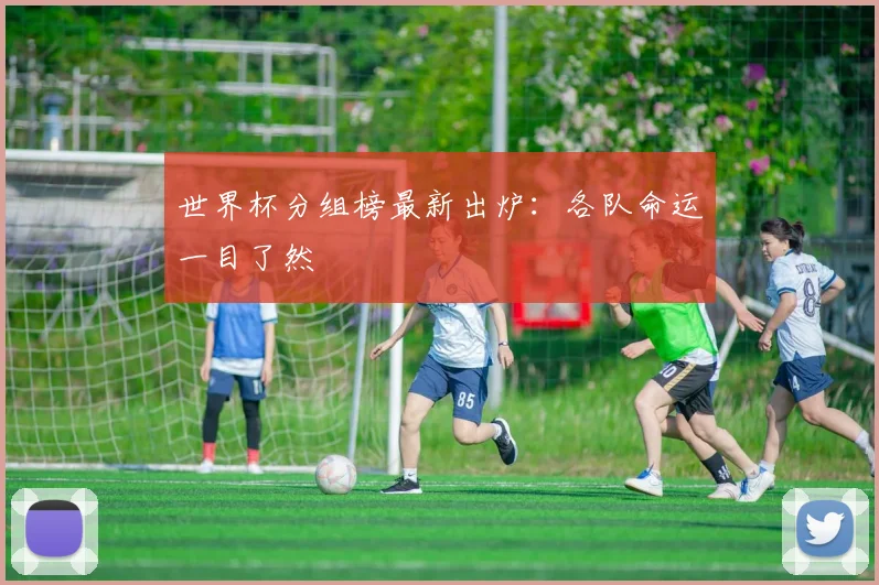 世界杯分组榜最新出炉：各队命运一目了然