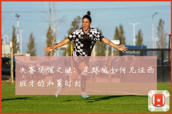 决赛场馆之谜：足球城如何见证西班牙的加冕时刻
