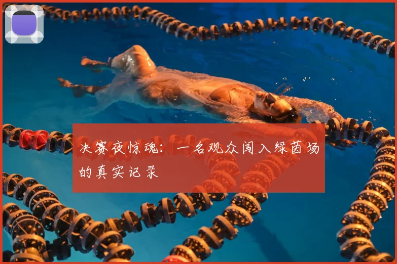 决赛夜惊魂：一名观众闯入绿茵场的真实记录