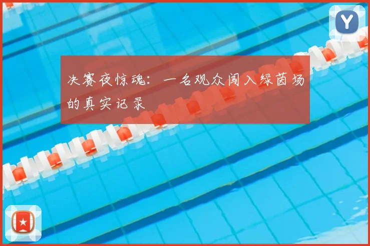 决赛夜惊魂：一名观众闯入绿茵场的真实记录